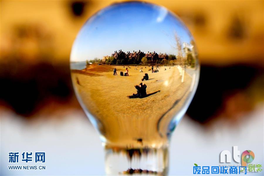 趣味摄影：小灯泡中的大世界！