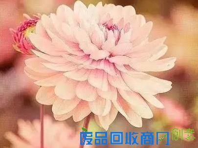 善良其实很简单...