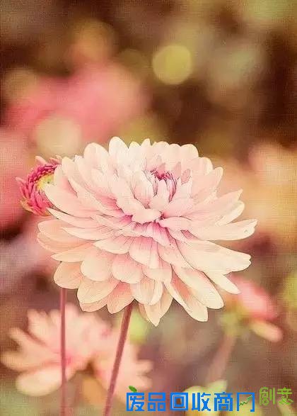 善良其实很简单...