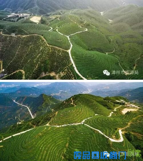 《绿色年轮》(组照)刘国强摄1