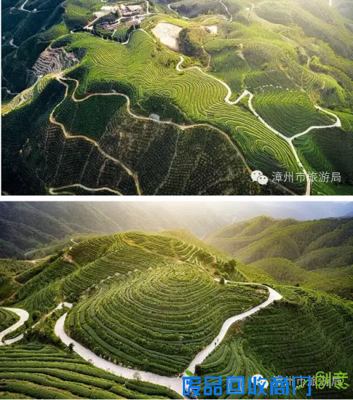 《绿色年轮》(组照)刘国强 摄