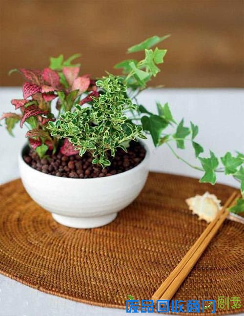 浓缩自然于方寸间 6款迷你盆栽DIY,迷你盆栽DIY 浓缩自然,利用壶形盆组合盆栽图片,茶室盆栽