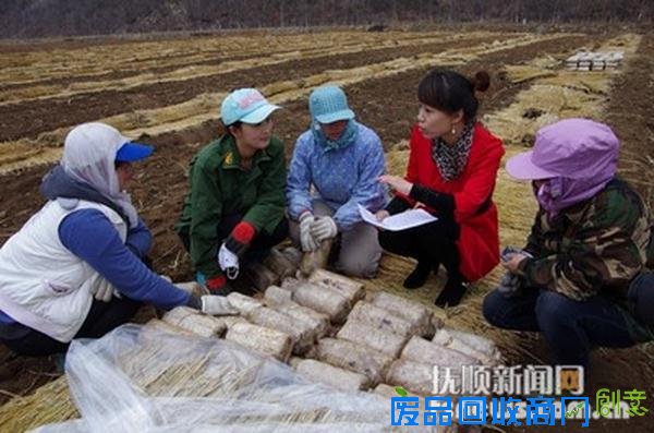 新宾小额贷款搞得“欢” 撑起妇女创业半边天