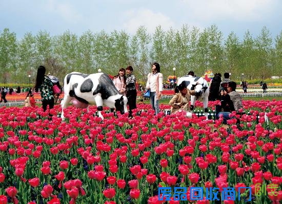 江苏大丰旅游打出“好玩”品牌注重生态建设