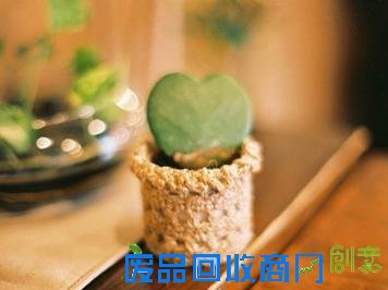 关于生活，我想对你说，写给生活的一些话