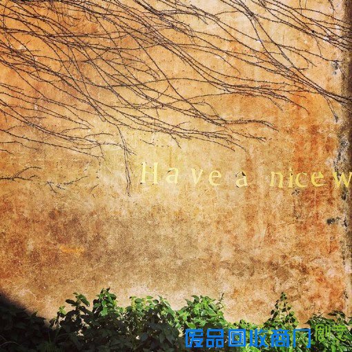 摄影师橙天天天晴的嵊山岛无人村唯美风光摄影作品