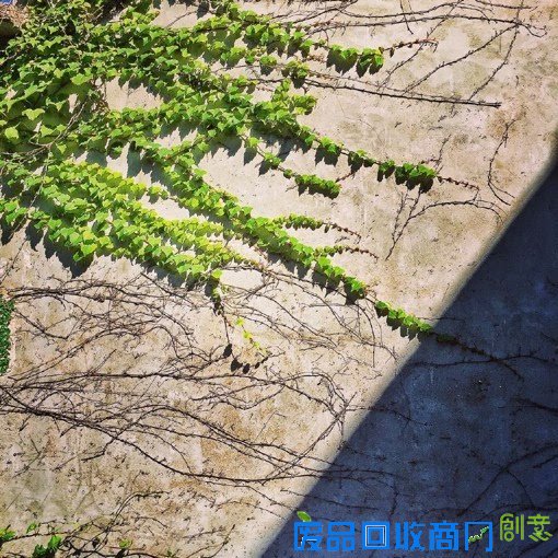 摄影师橙天天天晴的嵊山岛无人村唯美风光摄影作品