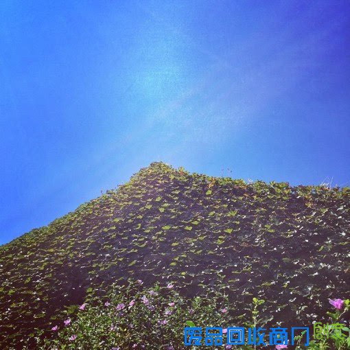 摄影师橙天天天晴的嵊山岛无人村唯美风光摄影作品