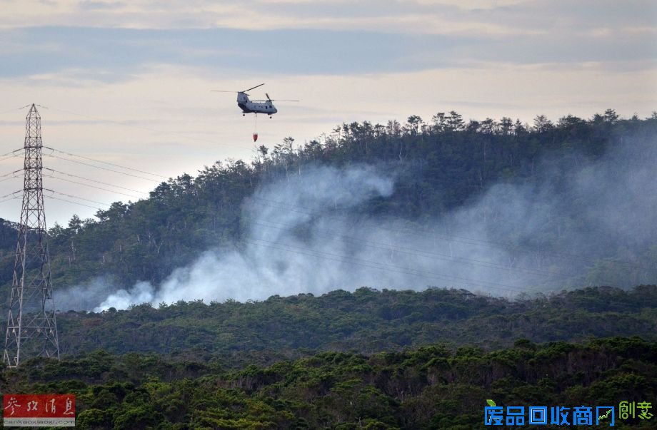 保卫风之谷？动漫大师宫崎骏反对冲绳美军基地