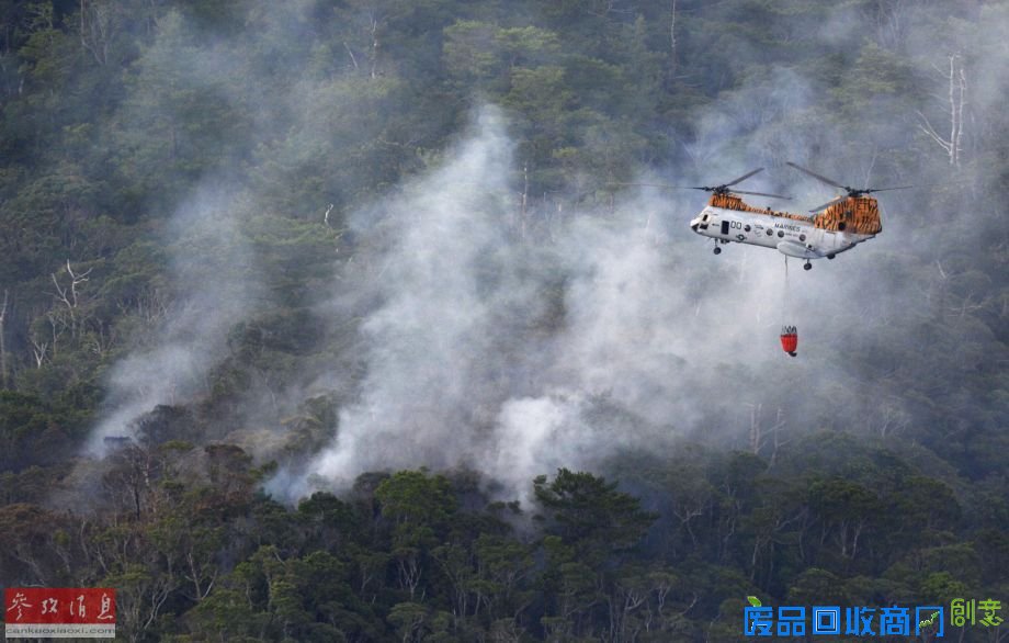 保卫风之谷？动漫大师宫崎骏反对冲绳美军基地