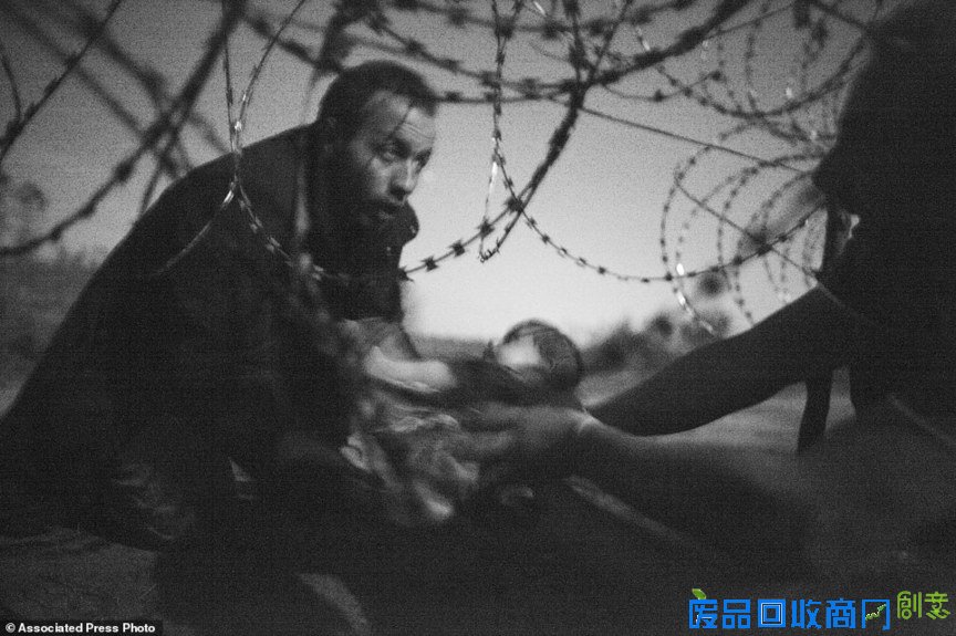 世界新闻摄影大赛无声震撼 难民题材《新生希冀》获大奖