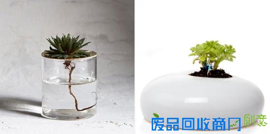 没款别具一格的花器怎好说你家有逼格