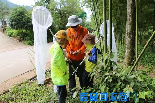 昆虫学家带领小营员们观察刚刚捕获的昆虫