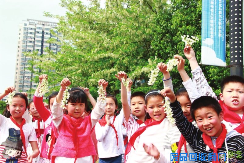 槐花香飘满校园 快乐采摘让语文更有趣