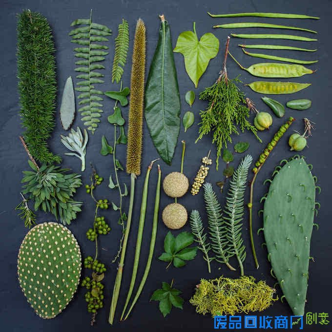 观念摄影：花涧