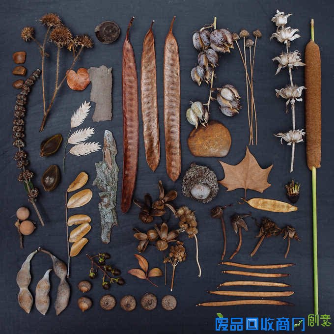 观念摄影：花涧