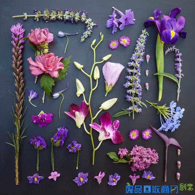 观念摄影：花涧