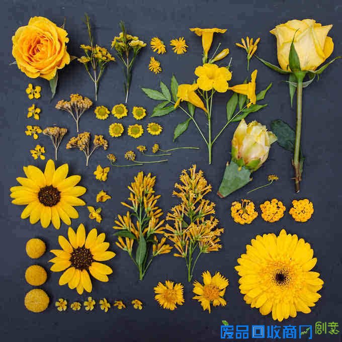 观念摄影：花涧