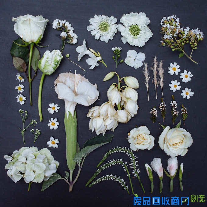 观念摄影：花涧