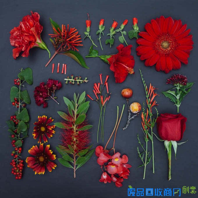 观念摄影：花涧