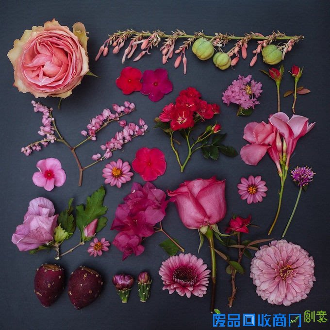 观念摄影：花涧