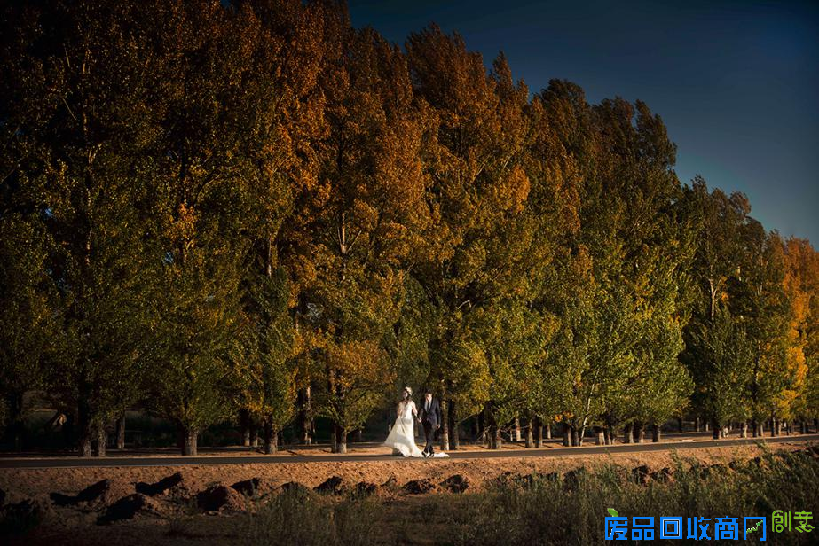 大同婚纱摄影对大自然美景的认知