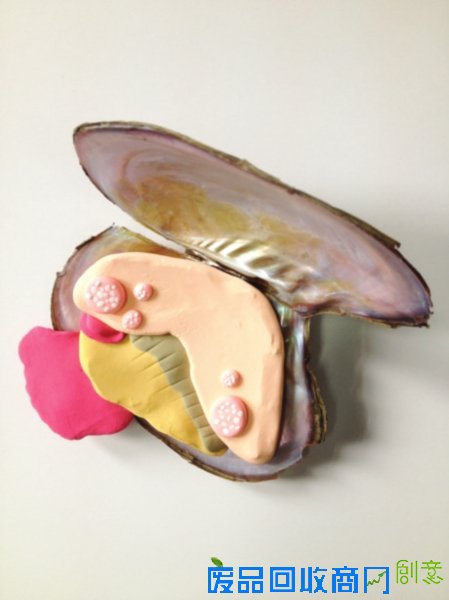 纸粘土生物模型——河蚌 纸粘土生物模型——河蚌
