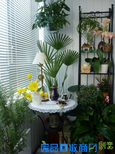 小阳台创意设计欣赏