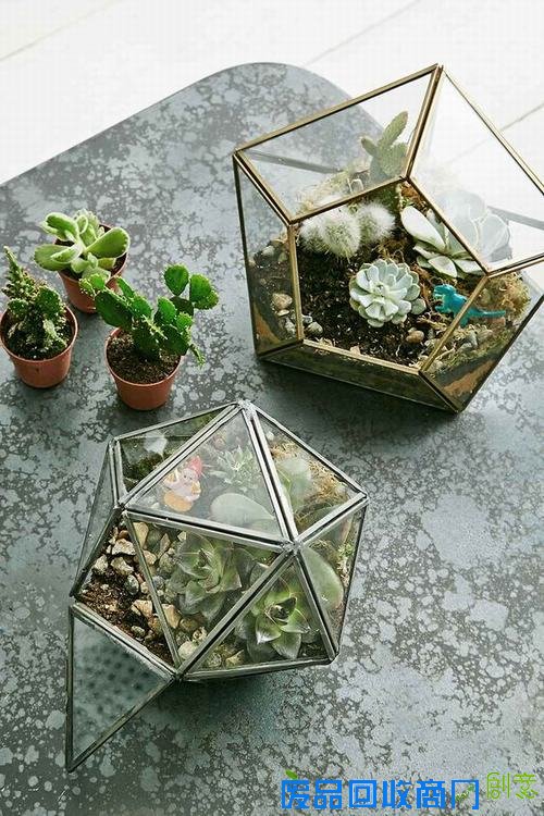 不花钱就搬进新公寓?这些DIY技巧轻松帮你搞定