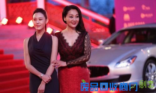 宋佳、李小璐、刘亦菲、高丽雯、车晓盘点娱乐圈十大“最美母女档”(图)－娱