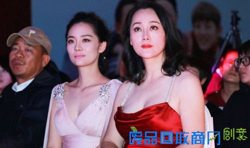  宋佳、李小璐、刘亦菲、高丽雯、车晓盘点娱乐圈十大“最美母女档”(图)