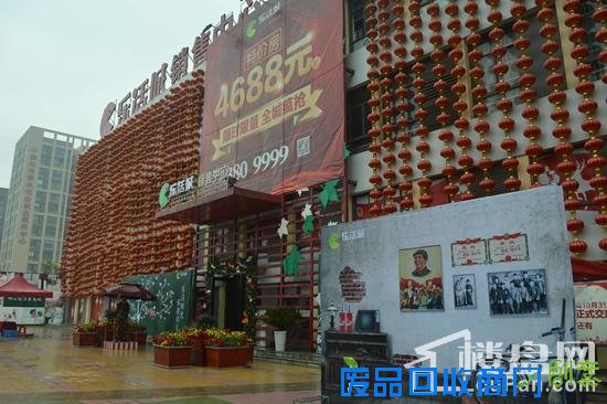 乐活城最美的时光第二季劳动最光荣 绿植盆栽DIY