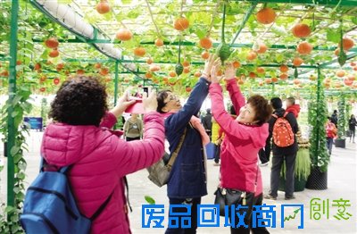 南瓜长廊留影纪念