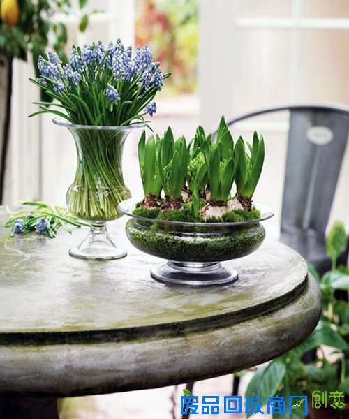 小花瓶，大创意，教你打造诗意家居