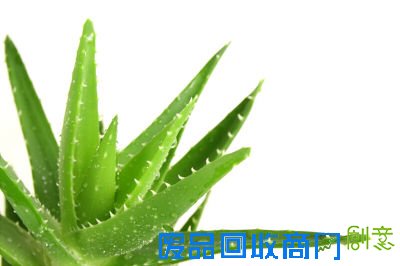 美妆情报:DIY冬季天然化妆品配方