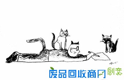 王老师的百猫图