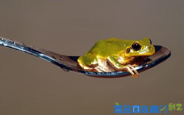 4_696.jpg?itok=R-ZfPody