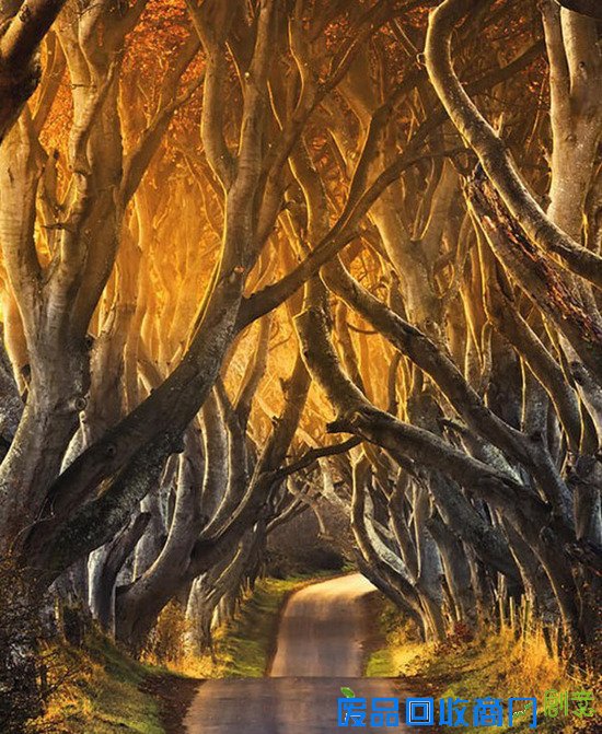 你的相机里有这样美到窒息的风光照吗