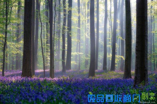 你的相机里有这样美到窒息的风光照吗