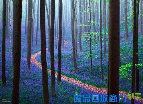 你的相机里有这样美到窒息的风光照吗