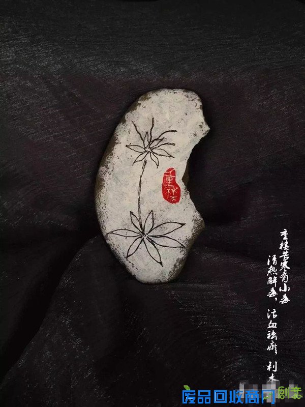 [牛]电子科大美女校医石头上作画 创意颠覆形象