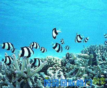 余秋雨经典爱情语录