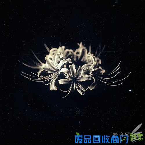 花样美男爱银版:穿过死之幽谷的彼岸花 花样美男爱银版:穿过死之幽谷的彼岸花