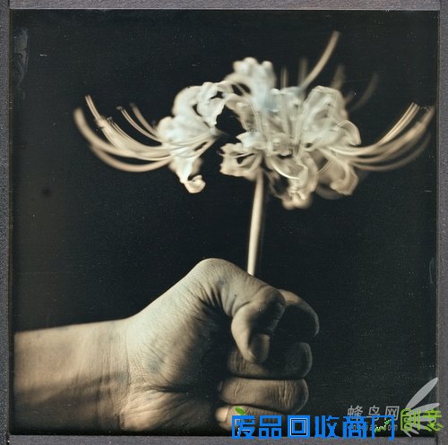 花样美男爱银版:穿过死之幽谷的彼岸花 花样美男爱银版:穿过死之幽谷的彼岸花