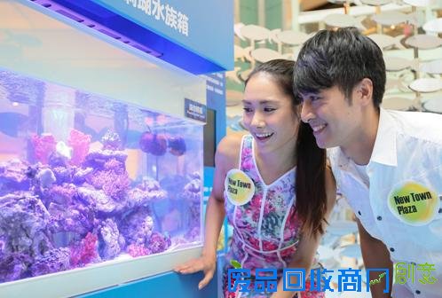 香港新城市广场变身全港首个室内互动水族馆