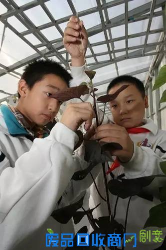 校园热点?|?孩子中午都在学校干些什么?这些学校的『午间生活照』,让人“震惊”!