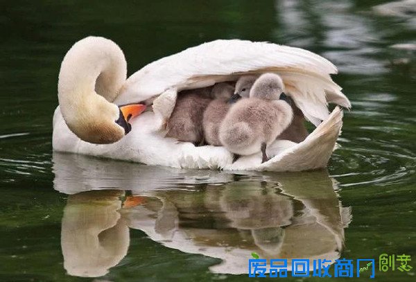 20张经典母爱照片，温暖你的心！