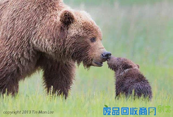 20张经典母爱照片，温暖你的心！