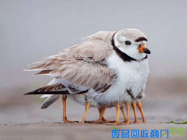 20张经典母爱照片，温暖你的心！