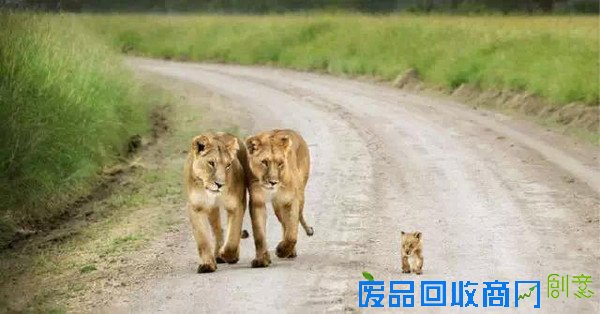 20张经典母爱照片，温暖你的心！